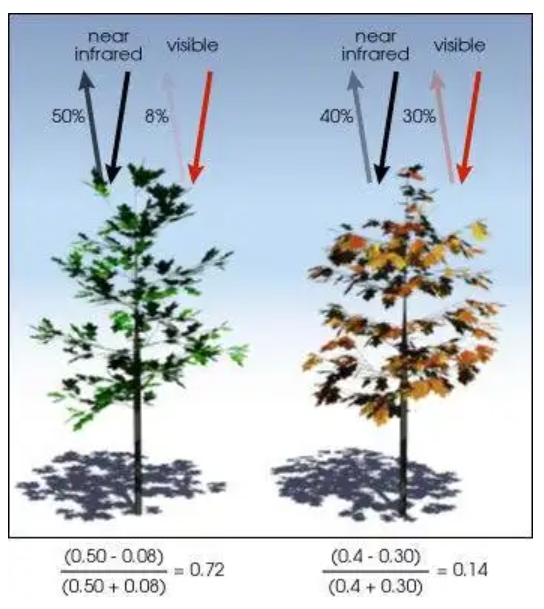 科普 | NDVI(归一化植被指数)